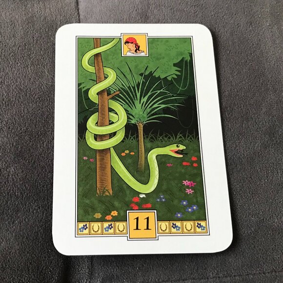 Romany Fortunes Book & Card Pack NEW Gypsy Lenormand - Picture 6 of 11